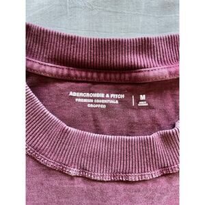 Abercrombie cropped t shirt